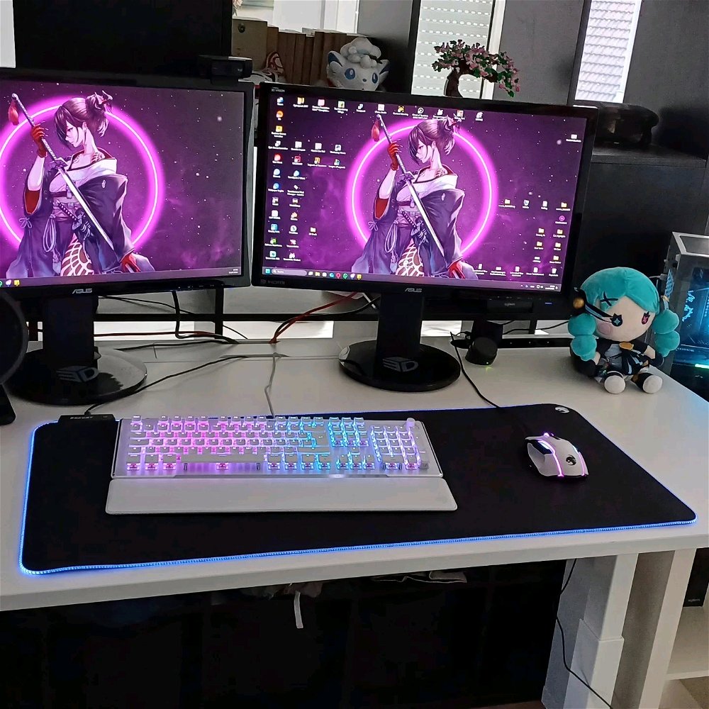 Neues Setup