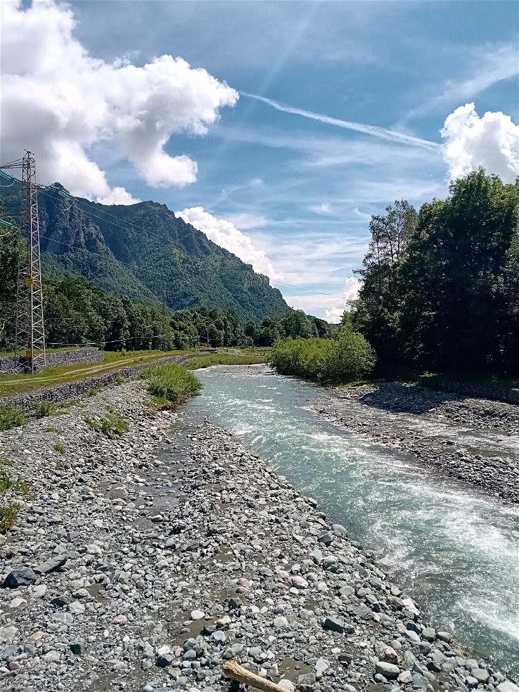 A quanti piace Baricco?