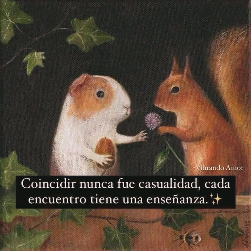 Coincidir