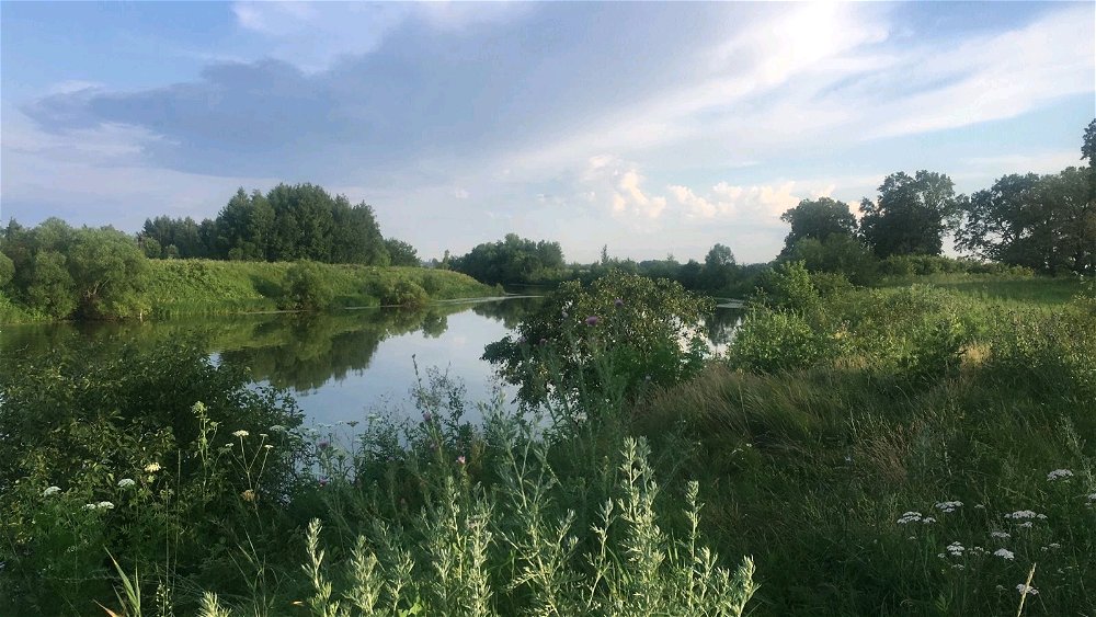 Мысли вслух...
