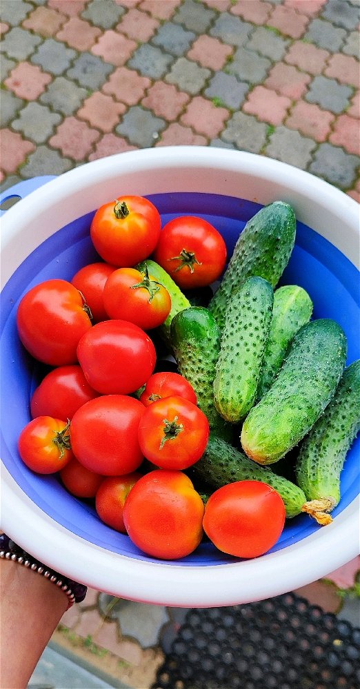 🍅🥒