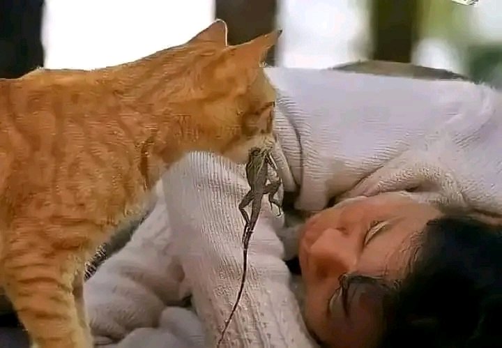love is giving...