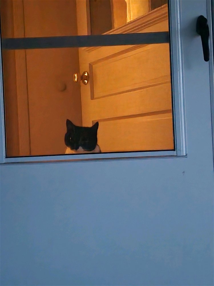 I feel like I'm being watched