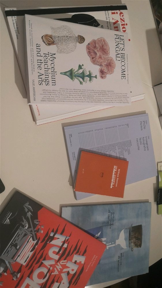 Nuovi acquisti