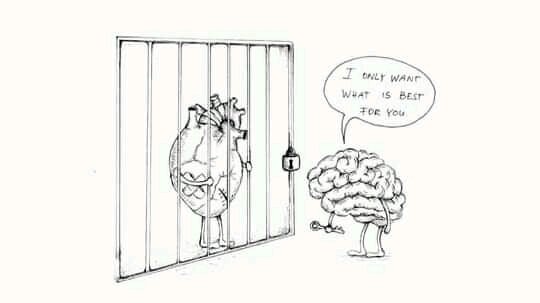 🧠 vs 🫀
