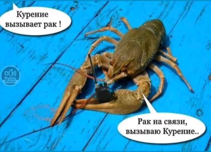 Как слышишь? Приём )))))