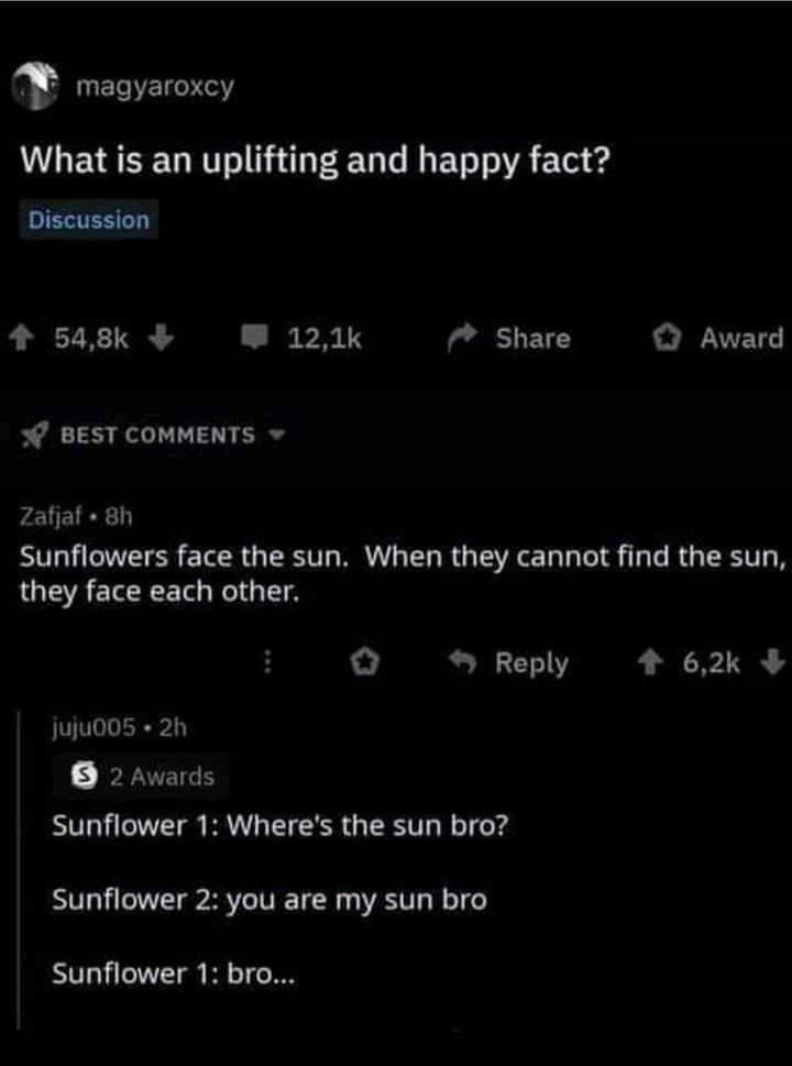 Look for your sun