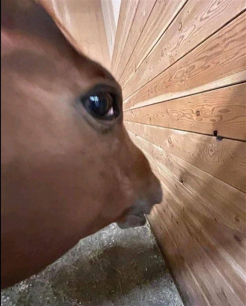 М