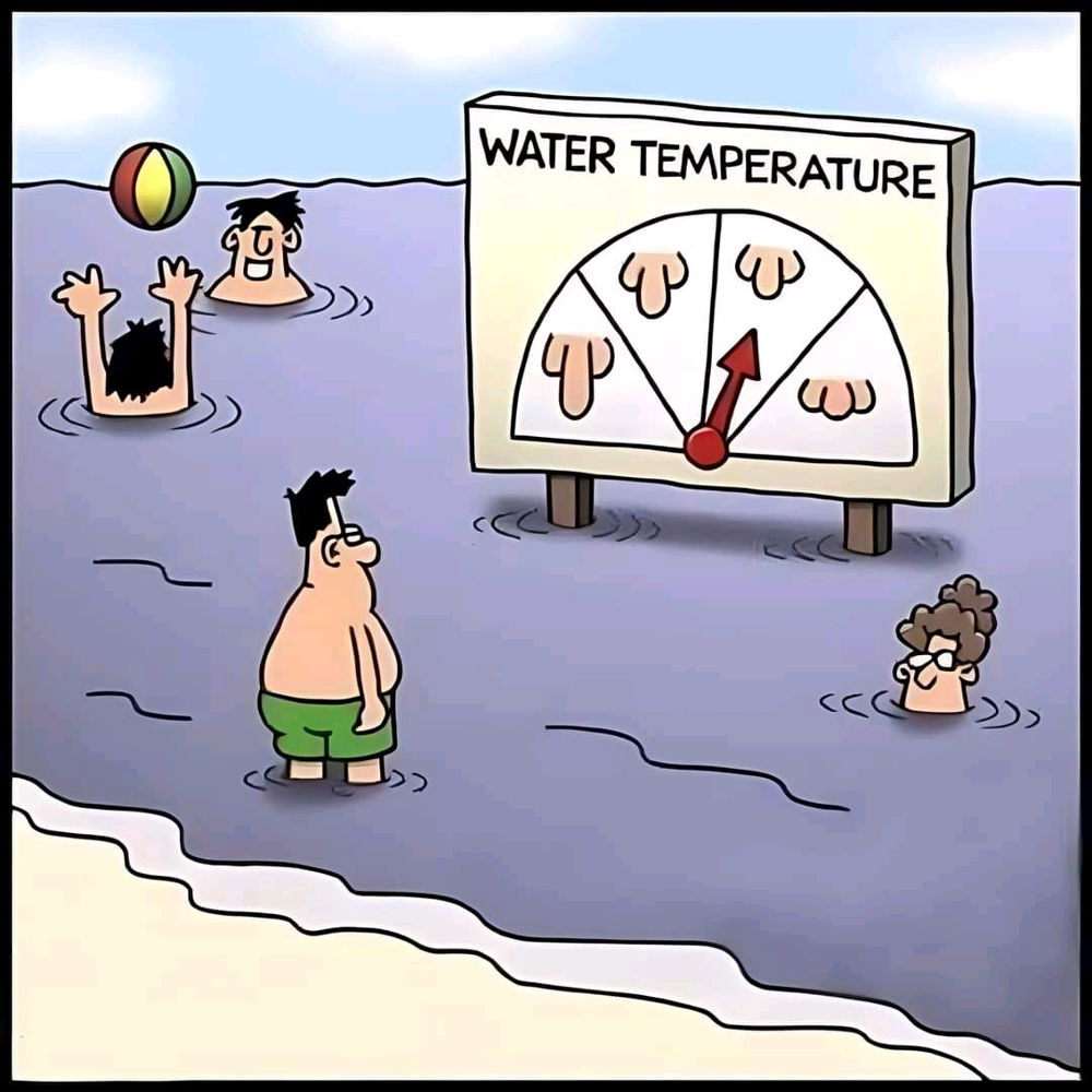 🌡️