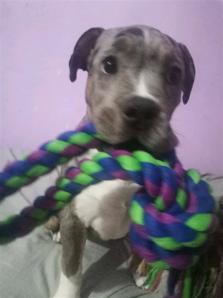 Esta feliz xd👻