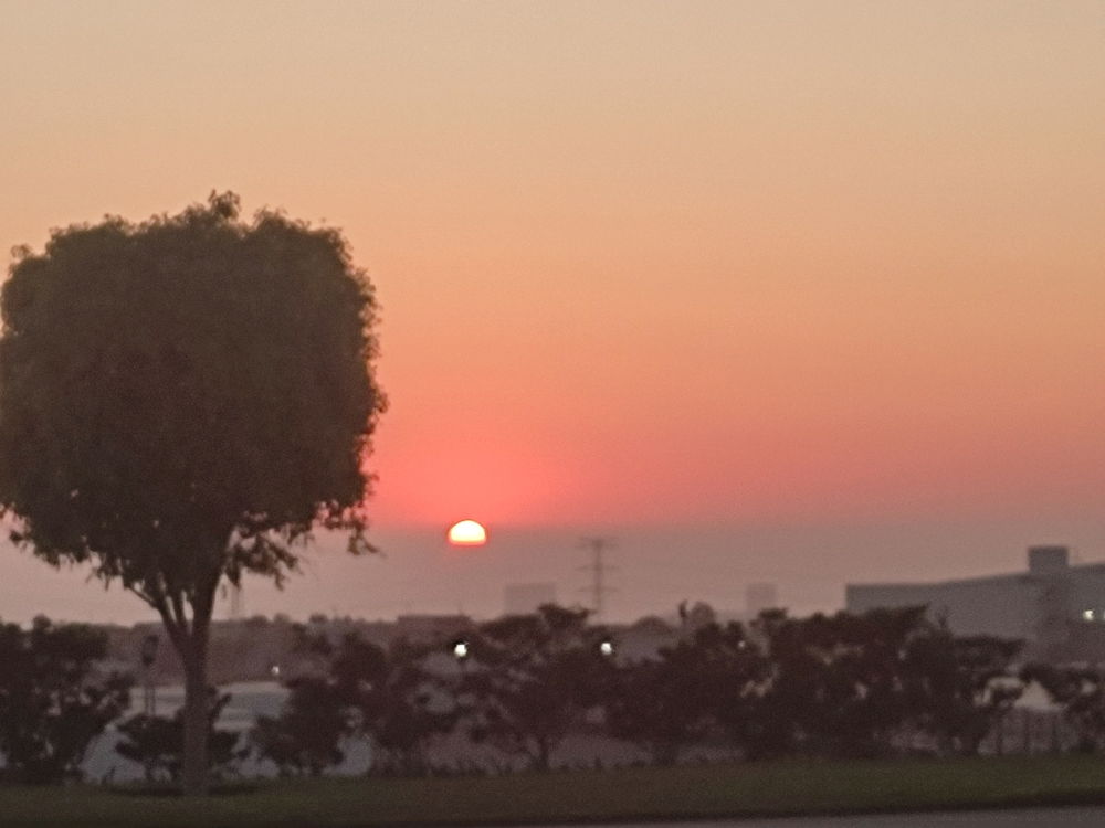 Atardecer