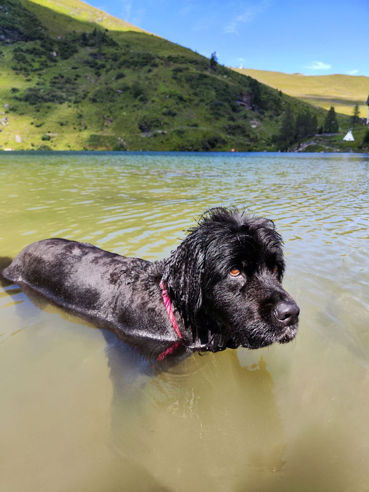 Berta hat Wasser Berta ist glücklich