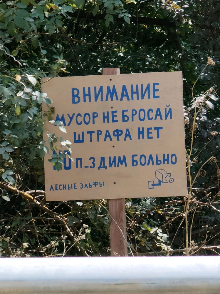 Иногда я тоже становлюсь эльфом😅