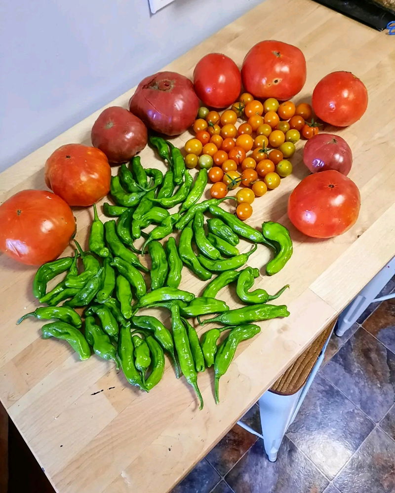 Garden haul