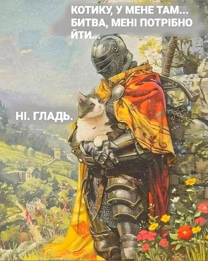 Війна й котики.
