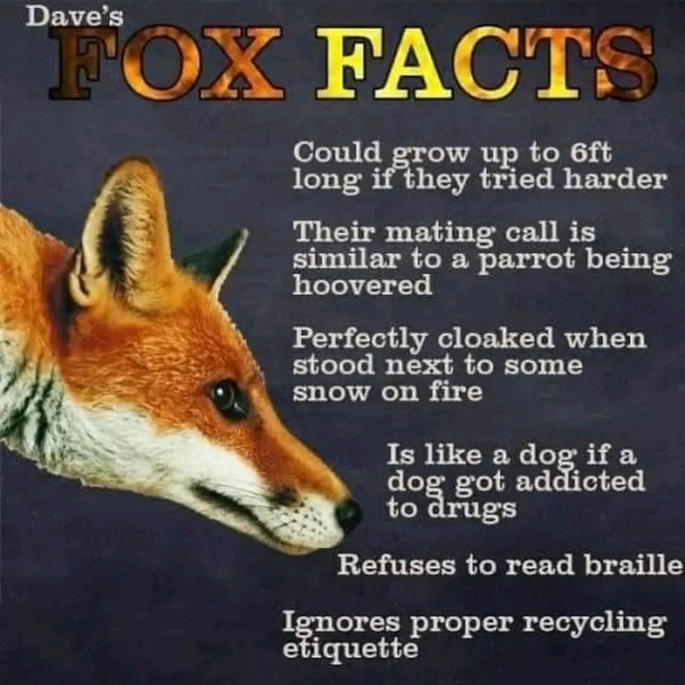 Slackers of the animal kingdom