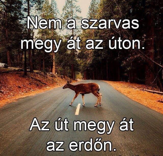 Így igaz… 🙂