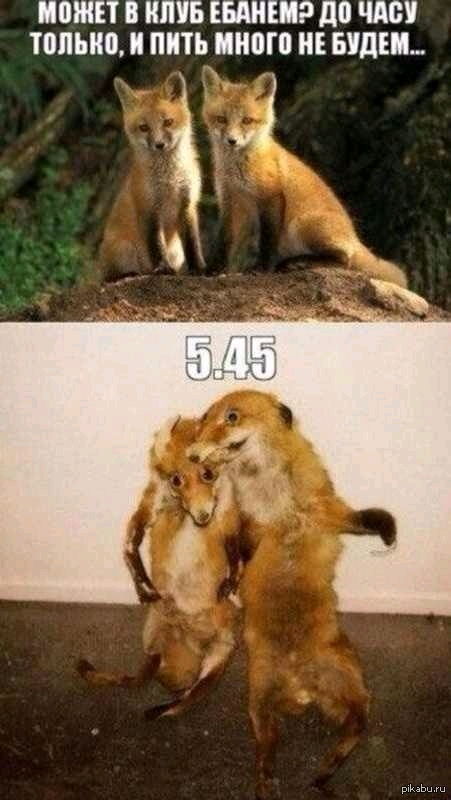 This Holiday