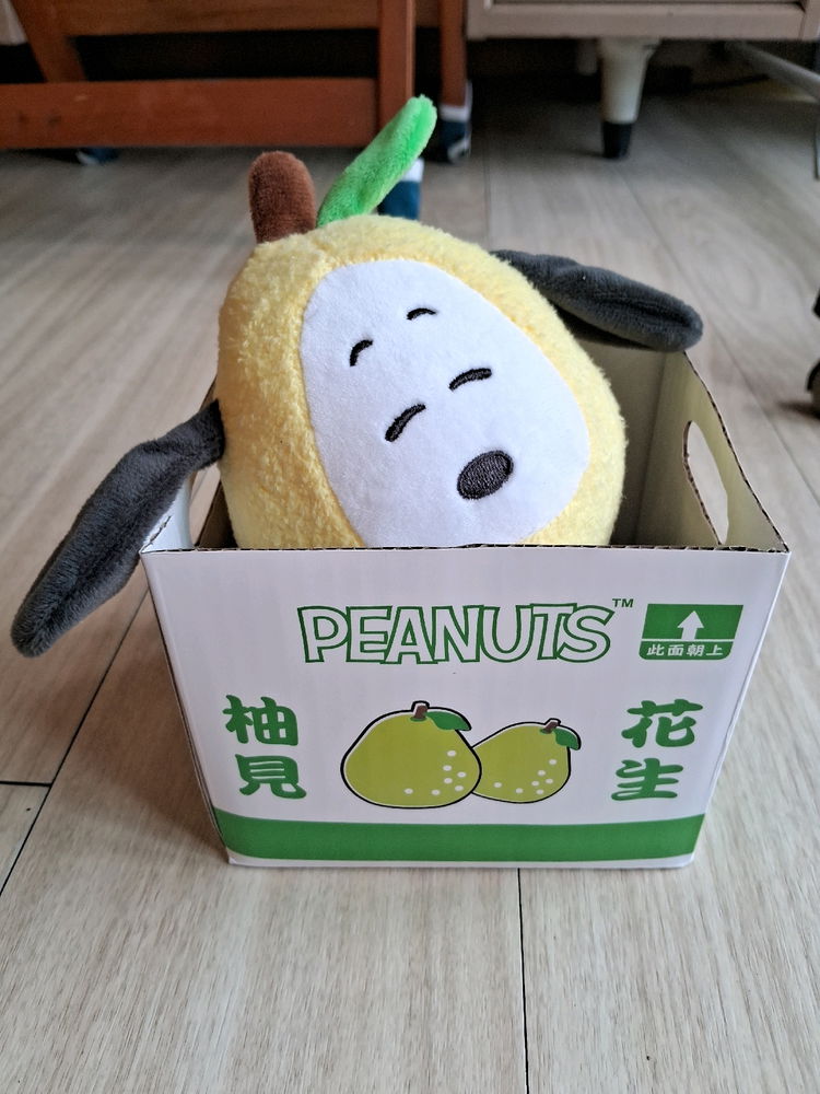 我有史努比柚子了