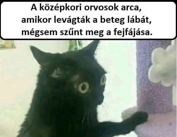 Ez csak egy valamit jelenthet: BOSZORKÁÁÁNY!!! MEGÉGETNI! 😂😂😂