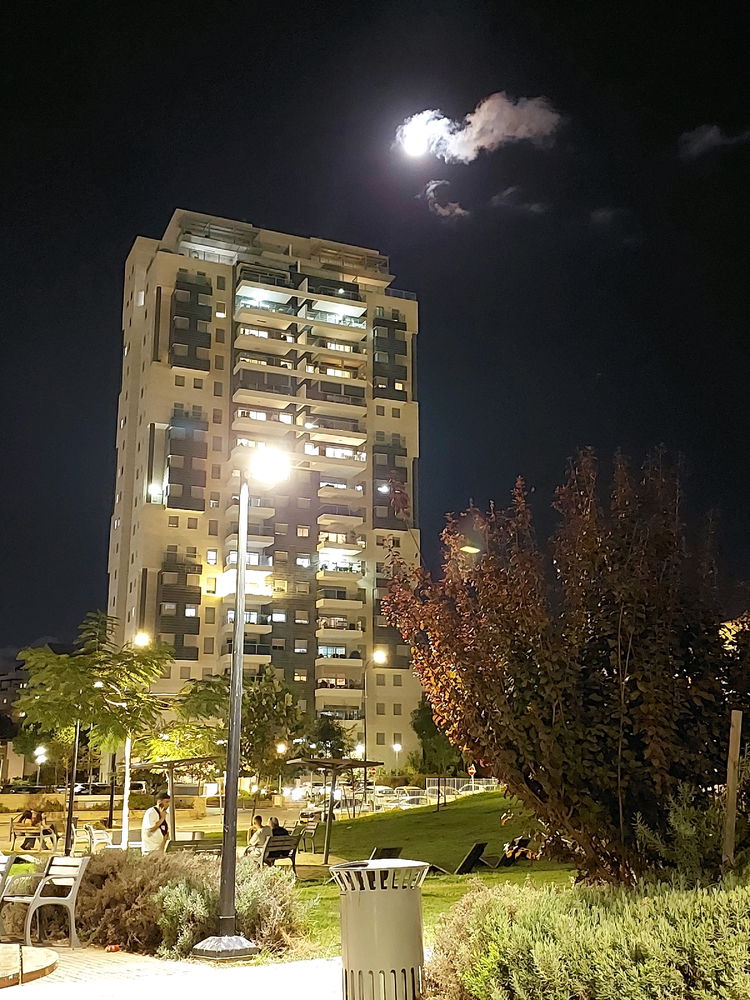 The moon is a loyal companion.