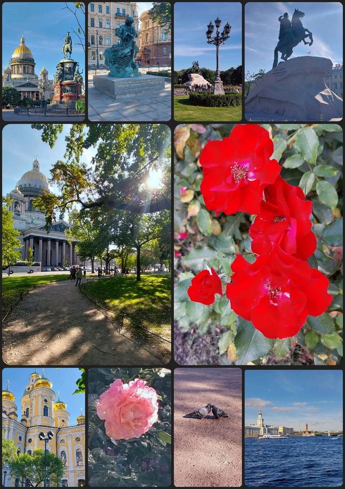 Такая прогулка сегодня получилась😊☀️🍁❤️