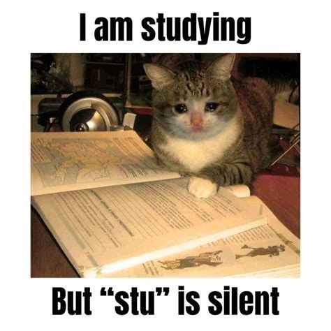 #stu-dying