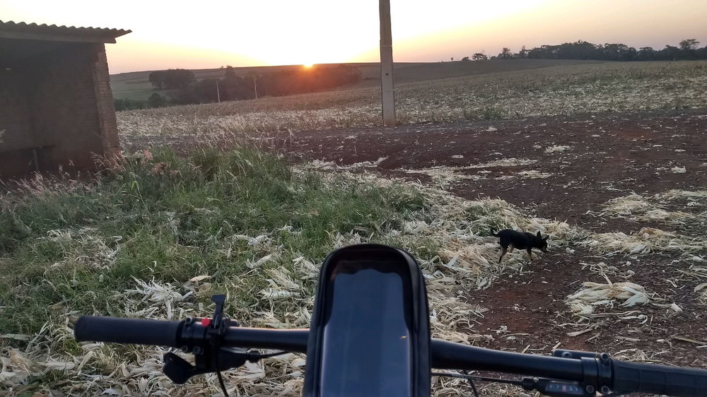 Pedal de fim do dia