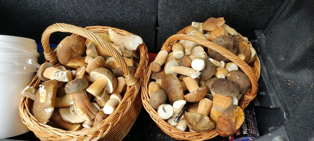 Szép őszi hétfő délelőtt! 🙂🍂