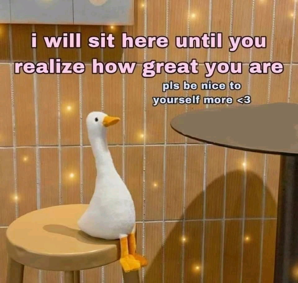 Duck sees you