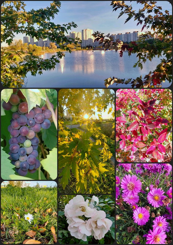 Осеннего настроения вам в ленту😊🍁🍃🍂