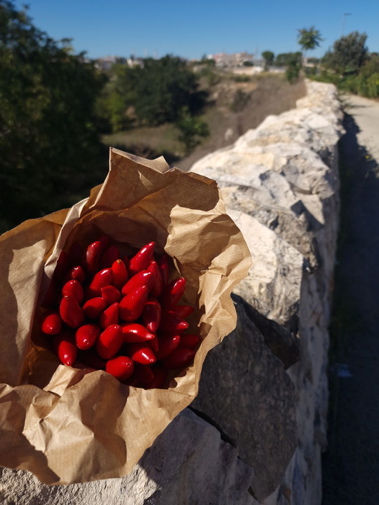 L’autunno