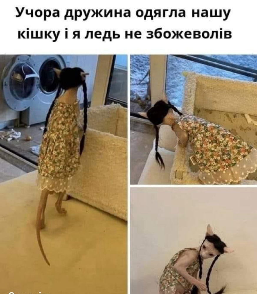 🫣