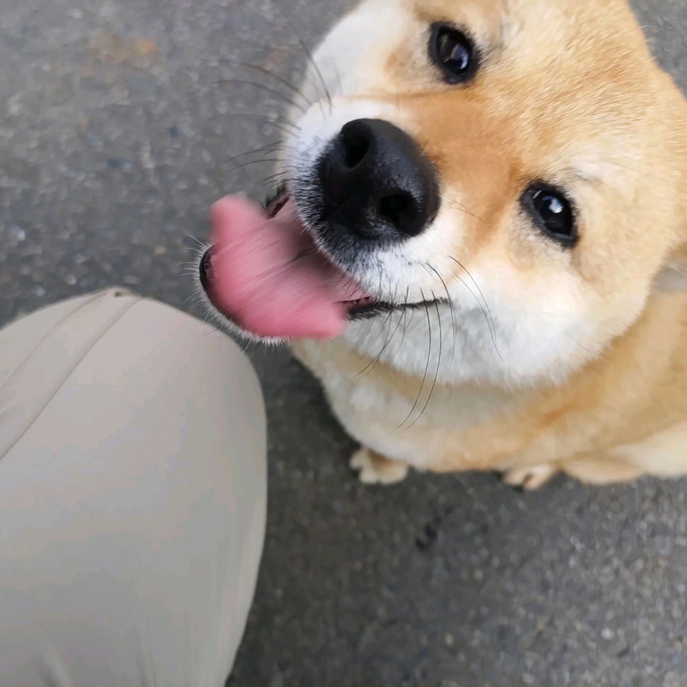 柴：）