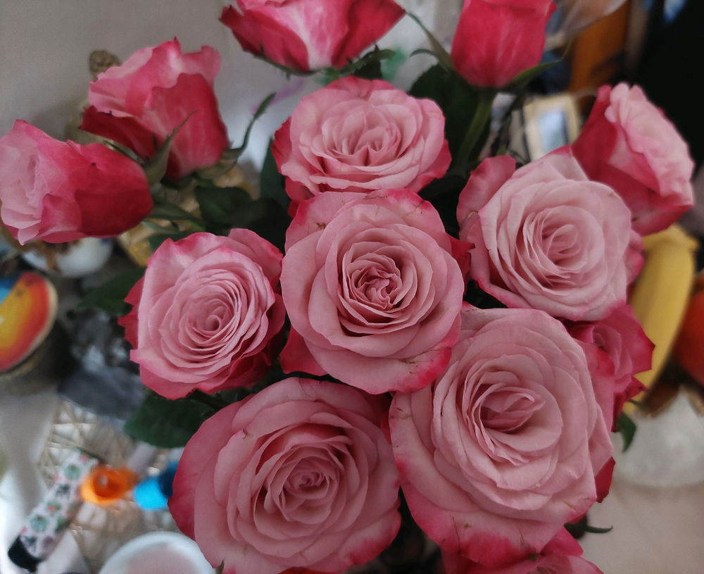 Dostala jsem 🌹🌹🌹od maminky růžičky, jen tak z lásky😌.