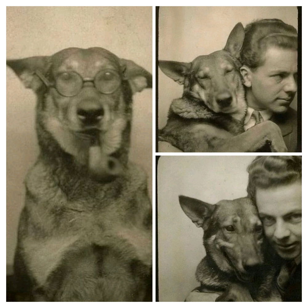 Even in the 1940s we were doing goofy stuff with our dogs