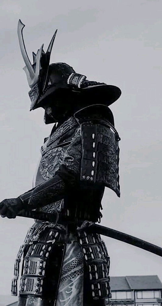 "Il rispetto per il nemico è il fondamento della vera vittoria."

~ Bushido
