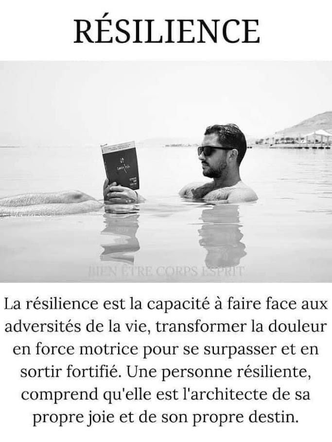 Définition sympa de la résilience 📕