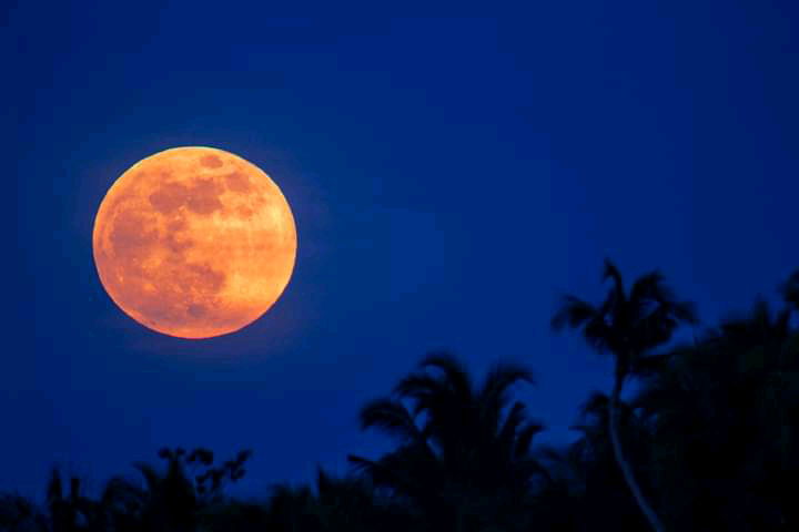When dreams and magic meet the moonlight πβ¨
A netizen captured the breathtaking images of the supermoon as it lit up the skies of Panglao, Bohol at 5:30 PM on Thursday, October 17.