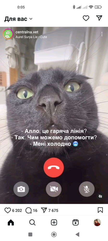 Капець як холодно)