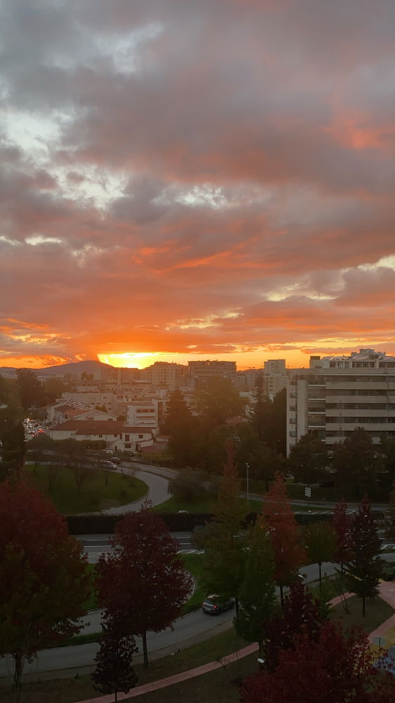 SUNSET in the city 🌆
