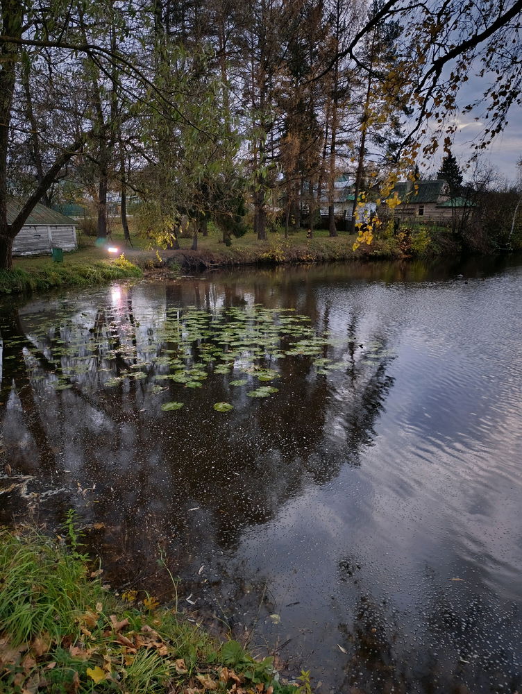 А это Большой пруд...