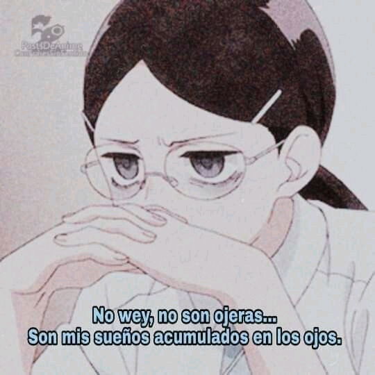 💤
