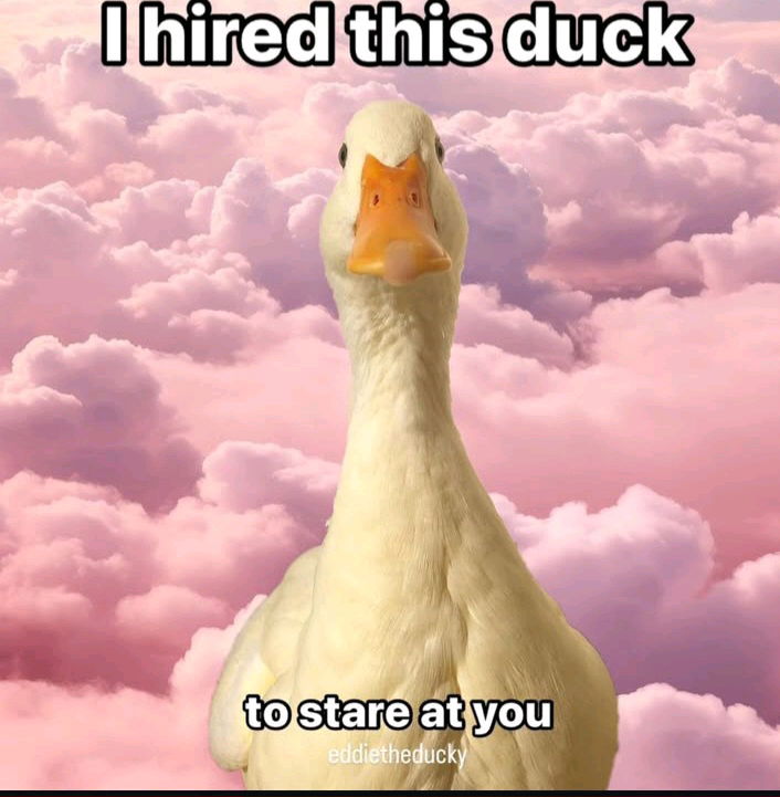 It only cost me a couple quacks