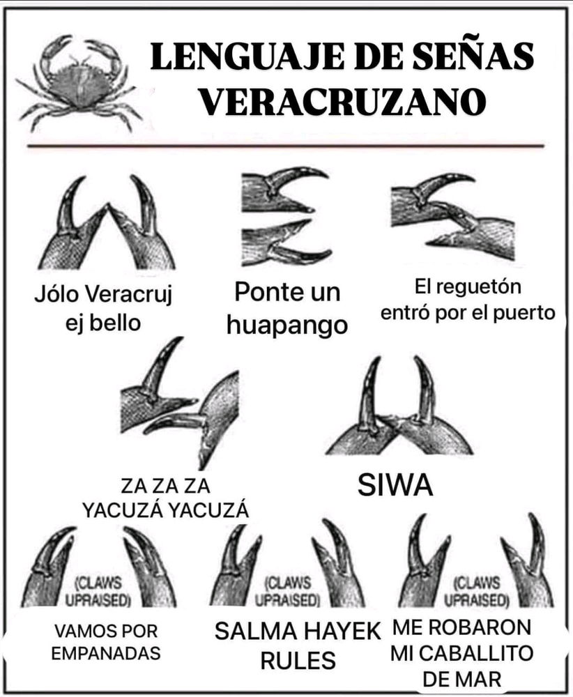 Para su próximo viaje al bello y ahora peligroso Veracruz