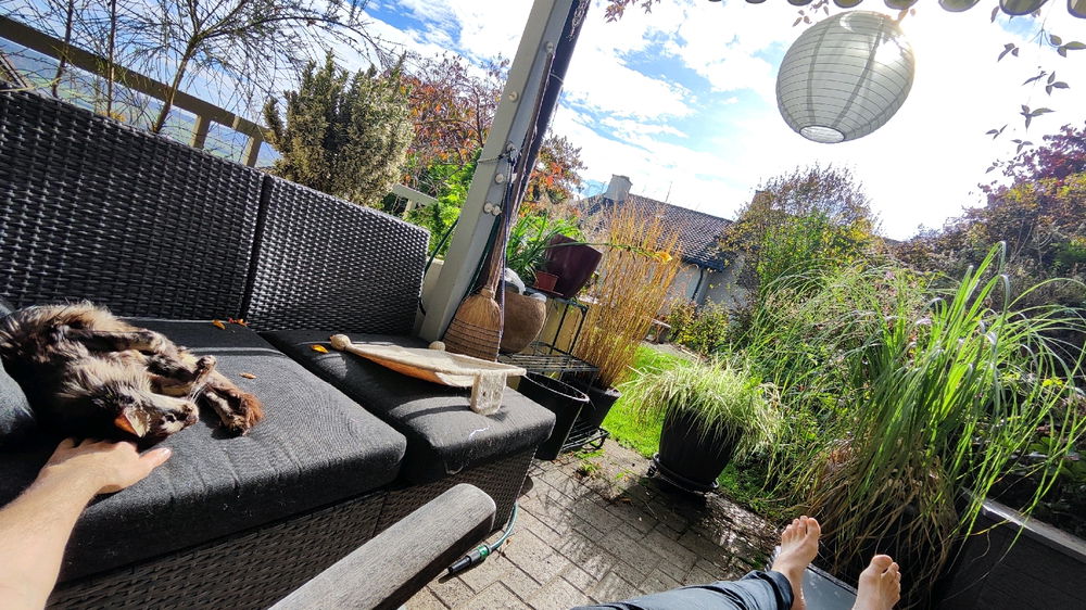 Die Sonne genießen, die Katze freuts