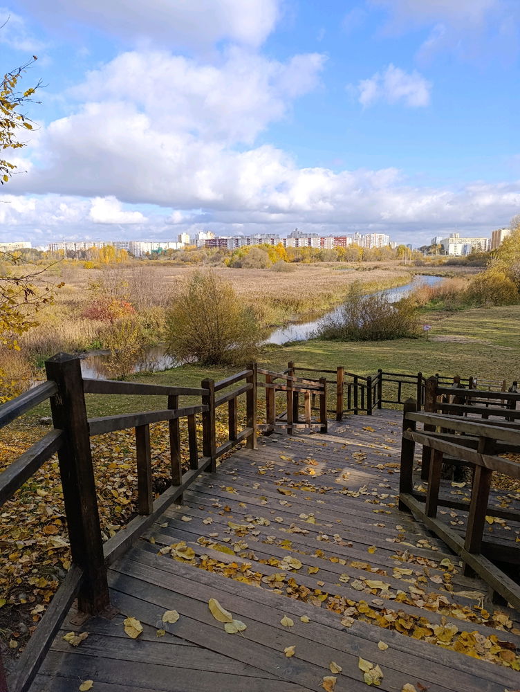 Дорога зовёт