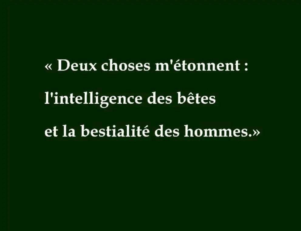 Hum 🧐