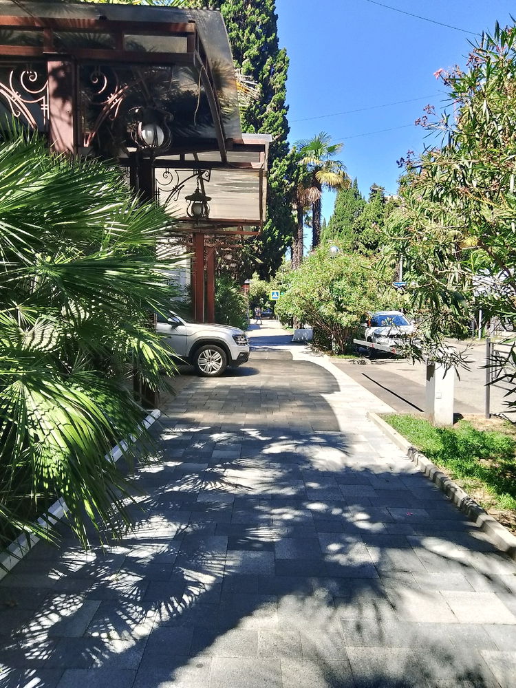 🌴🍍🌅