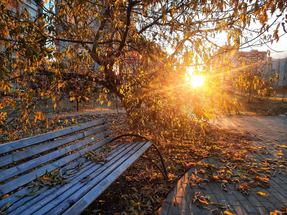 Golden autumn